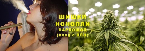 mdpv Снежногорск
