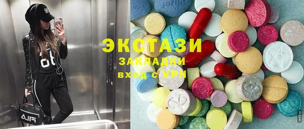 ECSTASY Кадников