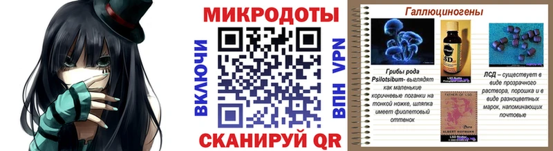 Купить  Каргат  Галлюциногенные грибы MAGIC MUSHROOMS 